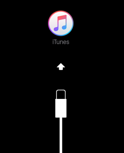 ios9-recovery-mode-screen